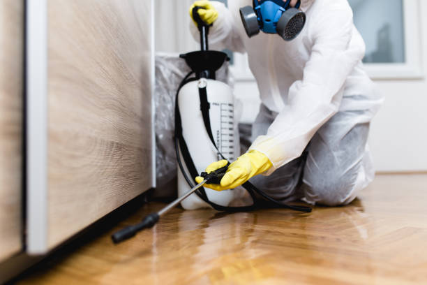 Best Pest Removal Services  in Jackson, AL