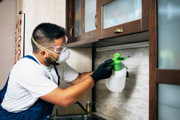 Best Best Pest Control Companies  in Jackson, AL