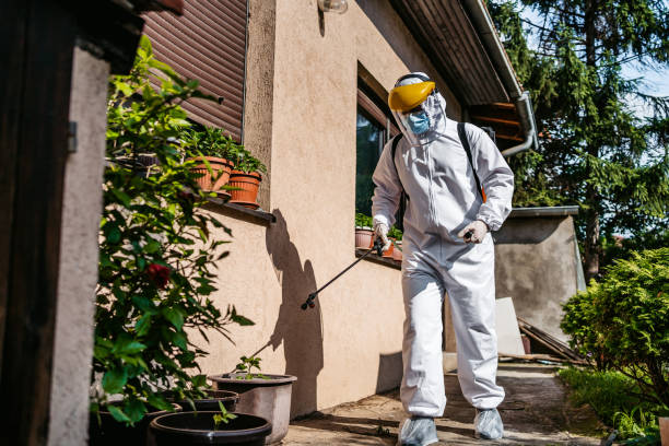 Best Termite Control Services  in Jackson, AL
