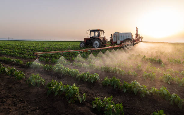Pest Prevention Services in Jackson, AL
