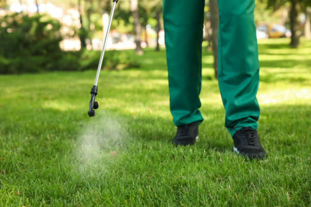 Reliable Jackson, AL Pest Control Solutions