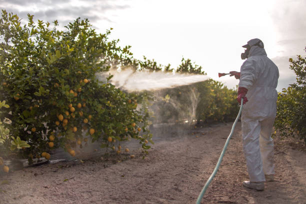 Best Cockroach Control Services  in Jackson, AL