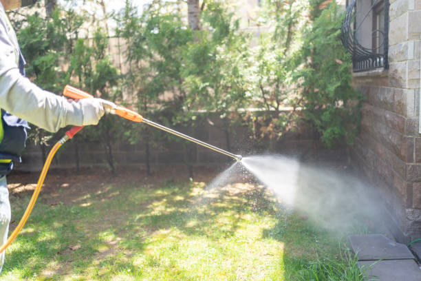 Best Wasp Removal Services  in Jackson, AL