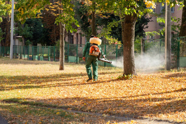 Best Emergency Pest Control  in Jackson, AL