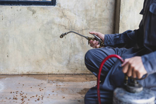 Best Residential Pest Control  in Jackson, AL